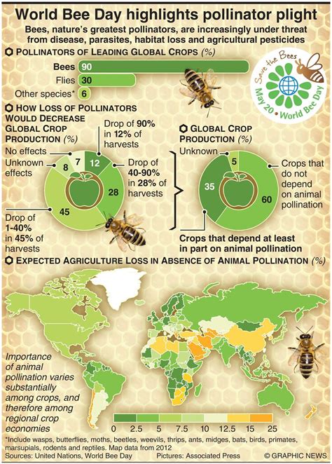 bee result|bee designated consumer.